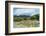 Cattle grazing, Omo Valley, between Turmi and Arba Minch, Ethiopia-Keren Su-Framed Photographic Print