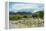 Cattle grazing, Omo Valley, between Turmi and Arba Minch, Ethiopia-Keren Su-Framed Premier Image Canvas