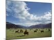 Photographic Print