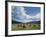 Cattle Grazing on Farmland-null-Framed Photographic Print