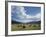 Cattle Grazing on Farmland-null-Framed Photographic Print