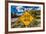 Cattle Guard Road sign outside of Ridgway, Colorado warns people of open range grazing-null-Framed Photographic Print