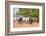 Cattle herd, Pantanal, Mato Grosso, Brazil, South America-Sergio Pitamitz-Framed Photographic Print