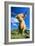 Cattle, Highland Cow-null-Framed Photographic Print