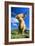 Cattle, Highland Cow-null-Framed Photographic Print