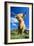 Cattle, Highland Cow-null-Framed Photographic Print