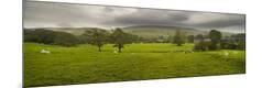 Premium Photographic Print