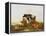 Cattle in a River Landscape-Thomas Sidney Cooper-Framed Premier Image Canvas