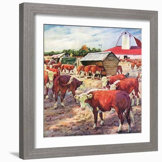 "Cattle in Barnyard,"October 1, 1945-Matt Clark-Framed Giclee Print