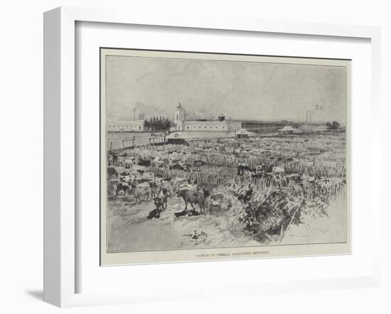 Cattle in Corral, Argentine Republic-Henry Charles Seppings Wright-Framed Giclee Print