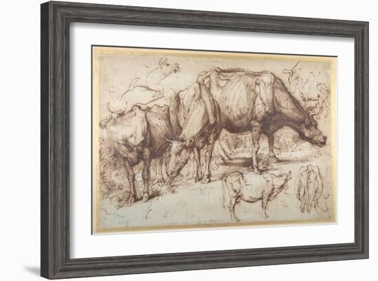 Cattle in Pasture, C.1618-20-Sir Anthony Van Dyck-Framed Giclee Print