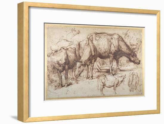 Cattle in Pasture, C.1618-20-Sir Anthony Van Dyck-Framed Giclee Print
