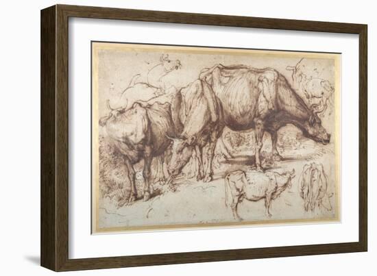 Cattle in Pasture, C.1618-20-Sir Anthony Van Dyck-Framed Giclee Print