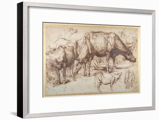 Cattle in Pasture, C.1618-20-Sir Anthony Van Dyck-Framed Giclee Print