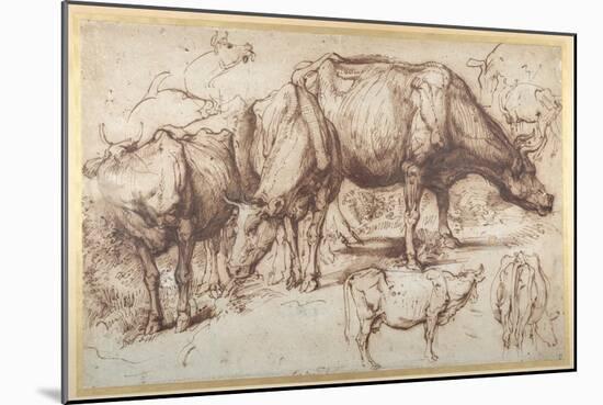 Cattle in Pasture, C.1618-20-Sir Anthony Van Dyck-Mounted Giclee Print