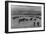 Cattle in South Farm-Ansel Adams-Framed Art Print