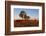 Cattle in the Late Afternoon Light, Carnarvon Gorge, Queensland, Australia, Pacific-Michael Runkel-Framed Photographic Print