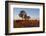 Cattle in the Late Afternoon Light, Carnarvon Gorge, Queensland, Australia, Pacific-Michael Runkel-Framed Photographic Print