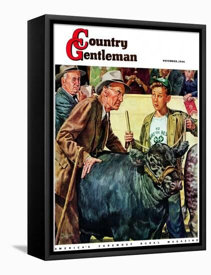 "Cattle Judging," Country Gentleman Cover, November 1, 1946-W.C. Griffith-Framed Premier Image Canvas