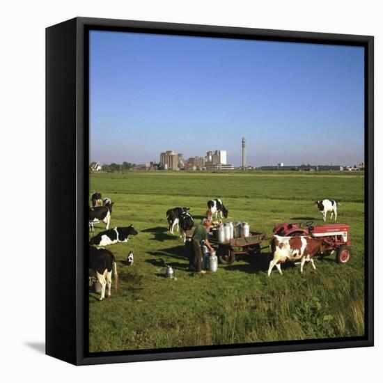 Cattle-Milking in Fields North-West of Amsterdam-CM Dixon-Framed Premier Image Canvas