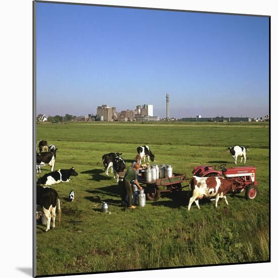 Cattle-Milking in Fields North-West of Amsterdam-CM Dixon-Mounted Photographic Print