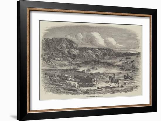 Cattle Mustering in Australia-Harrison William Weir-Framed Giclee Print