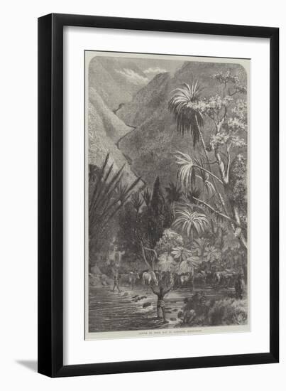 Cattle on their Way to Tamatave, Madagascar-null-Framed Giclee Print