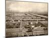 Cattle Pens at the Union Stockyards, Chicago, 1890s-null-Mounted Giclee Print