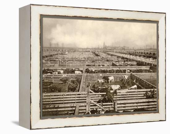 Cattle Pens at the Union Stockyards, Chicago, 1890s-null-Framed Premier Image Canvas