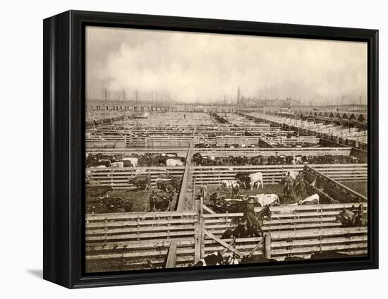 Cattle Pens at the Union Stockyards, Chicago, 1890s-null-Framed Premier Image Canvas