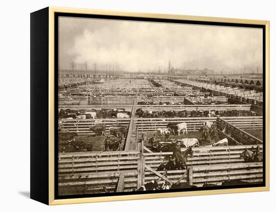 Cattle Pens at the Union Stockyards, Chicago, 1890s-null-Framed Premier Image Canvas