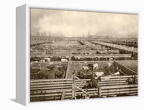 Cattle Pens at the Union Stockyards, Chicago, 1890s-null-Framed Premier Image Canvas