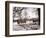 Cattle Pictured in the Snow at Shenley, Hertfordshire, January 1935-null-Framed Photographic Print