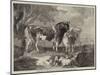 Cattle Piece-null-Mounted Giclee Print