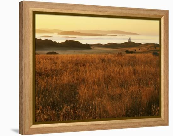 Cattle Point Lighthouse, San Juan Island National Historical Park, Washington, USA-Charles Gurche-Framed Premier Image Canvas