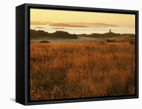 Cattle Point Lighthouse, San Juan Island National Historical Park, Washington, USA-Charles Gurche-Framed Premier Image Canvas