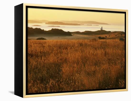 Cattle Point Lighthouse, San Juan Island National Historical Park, Washington, USA-Charles Gurche-Framed Premier Image Canvas