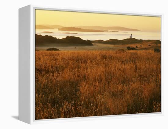 Cattle Point Lighthouse, San Juan Island National Historical Park, Washington, USA-Charles Gurche-Framed Premier Image Canvas