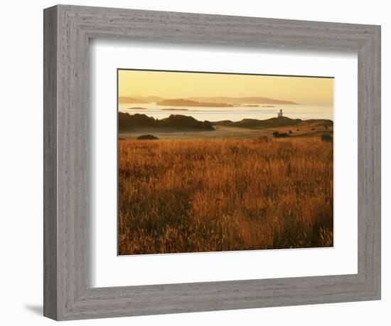 Cattle Point Lighthouse, San Juan Island National Historical Park, Washington, USA-Charles Gurche-Framed Photographic Print