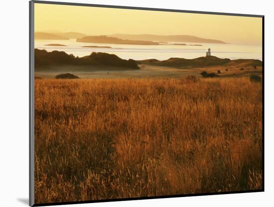 Cattle Point Lighthouse, San Juan Island National Historical Park, Washington, USA-Charles Gurche-Mounted Photographic Print