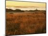 Cattle Point Lighthouse, San Juan Island National Historical Park, Washington, USA-Charles Gurche-Mounted Photographic Print