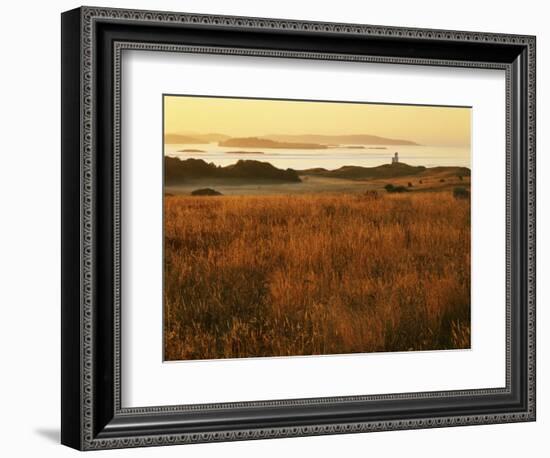 Cattle Point Lighthouse, San Juan Island National Historical Park, Washington, USA-Charles Gurche-Framed Photographic Print