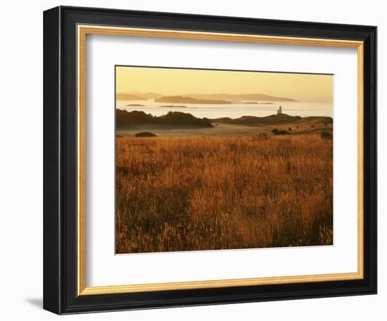 Cattle Point Lighthouse, San Juan Island National Historical Park, Washington, USA-Charles Gurche-Framed Photographic Print