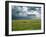 Cattle Ranching, N3 Highway, South Africa, Africa-Alain Evrard-Framed Photographic Print