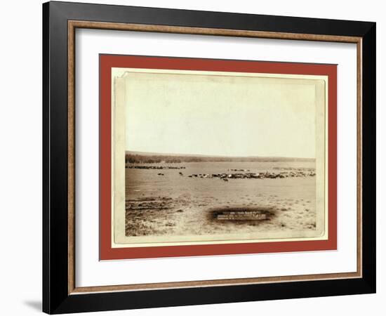 Cattle Round Up-John C. H. Grabill-Framed Giclee Print