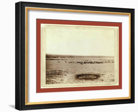 Cattle Round Up-John C. H. Grabill-Framed Giclee Print