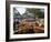 Cattle Sale in Victorian Alps, Victoria, Australia-Claire Leimbach-Framed Photographic Print