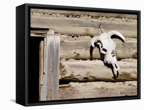 Cattle Skull on Cabin near Salmon, Idaho, USA-Chuck Haney-Framed Premier Image Canvas