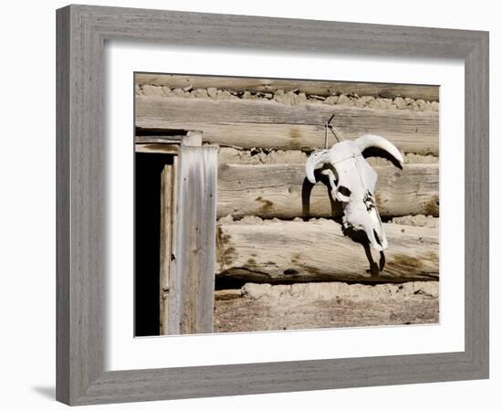 Cattle Skull on Cabin near Salmon, Idaho, USA-Chuck Haney-Framed Photographic Print