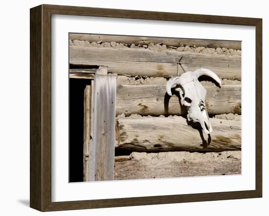 Cattle Skull on Cabin near Salmon, Idaho, USA-Chuck Haney-Framed Photographic Print